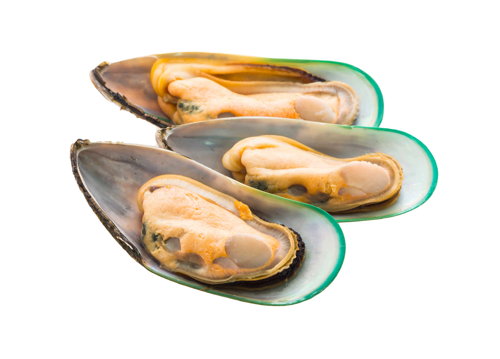 Мидии зеленые в створке раковины в/м 30/40 Shengsi Shunda Marine Food Products 1кг,12шт/кор,Китай купить в Донецке - СтриПсБери