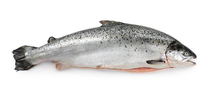Лосось 6-7 ±32кг/ящ арт.939 купить в Донецке - СтриПсБери