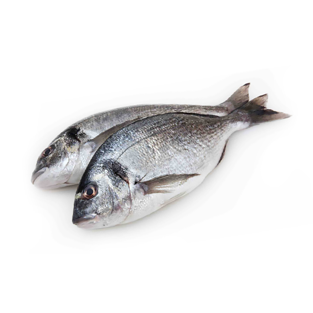 Дорадо с/м непотрош. с/г 400/600 TSM Deniz URUNLERI SAN VE TIC A.S.  Турция 5кг/кор купить в Донецке - СтриПсБери