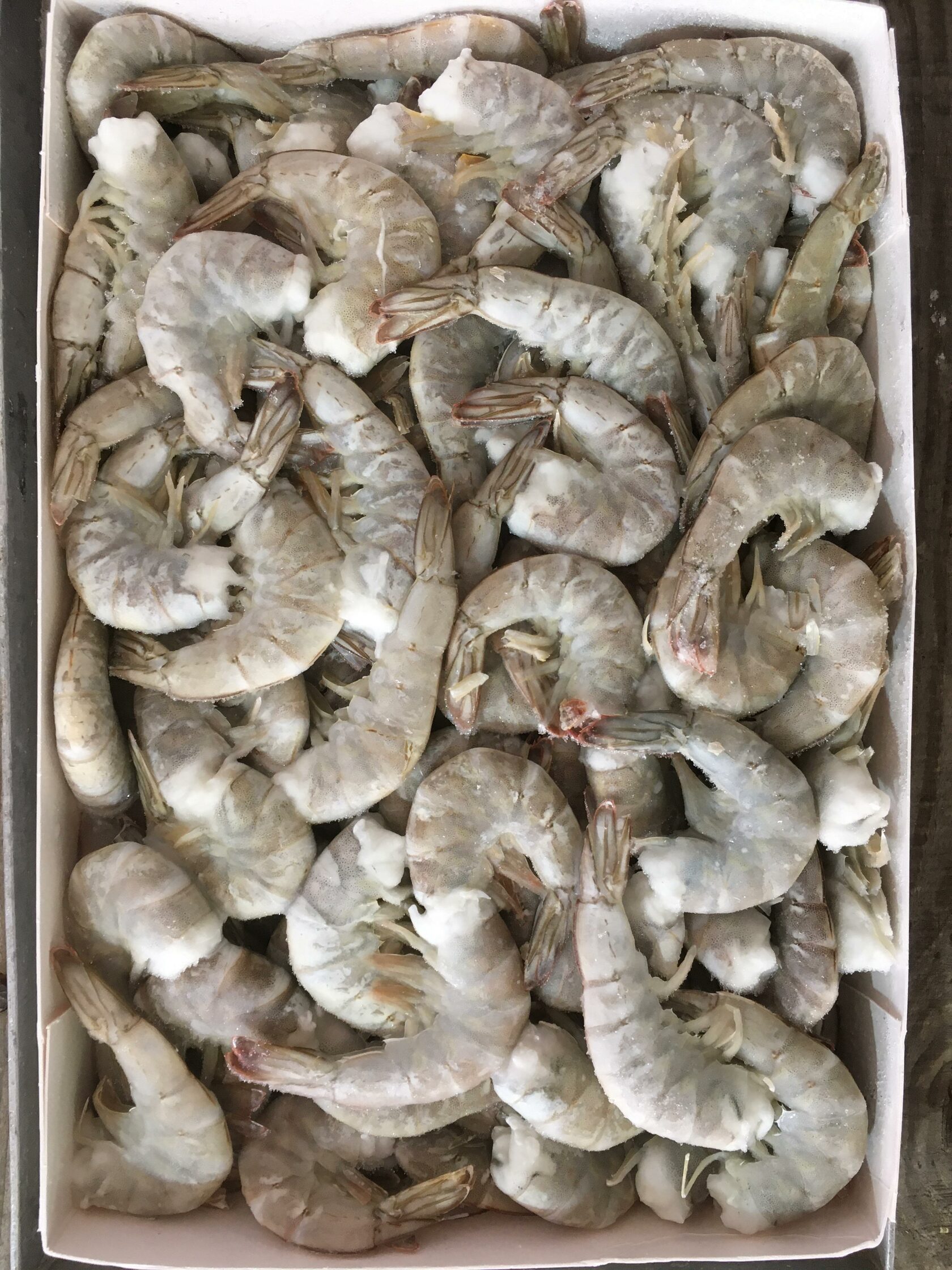 Креветка ваннамей с/м в панцире б/г 21/25 CONGELADOS 1,8кг, 10,8кг/кор, Эквадор 5369 купить в Донецке - СтриПсБери