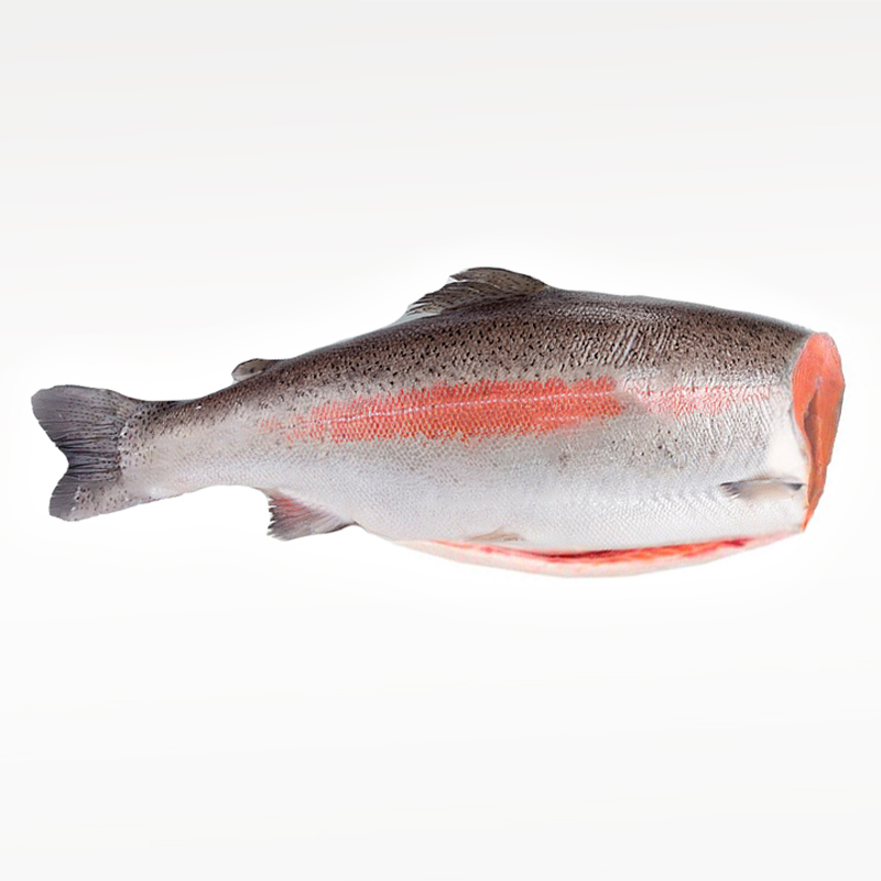 Форель Радужная Б/Г ЗАМ (6-9 lbs 2,7-4,1+ кг) / Qinghai Minze Longyangxia , Ltd.Китай 6300 купить в Донецке - СтриПсБери